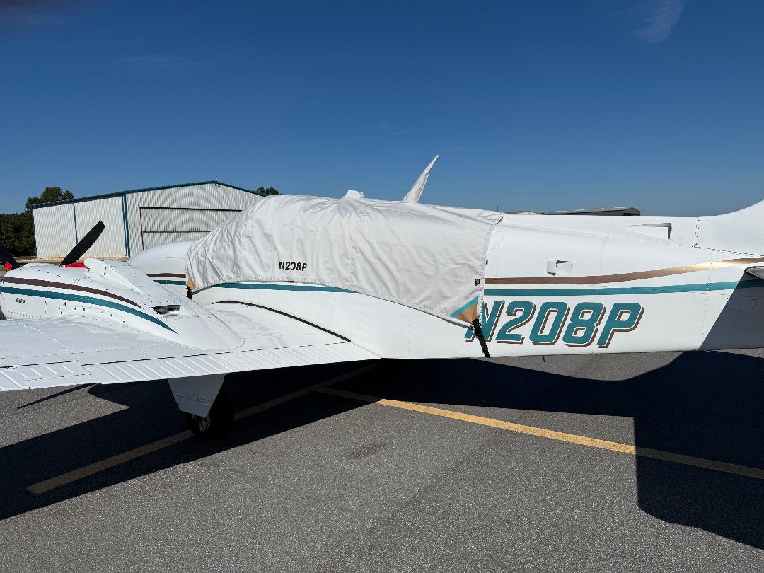 Beech 58 Canopy Cover
